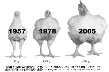 Z6尊龙·凯时(中国)-官方网站
