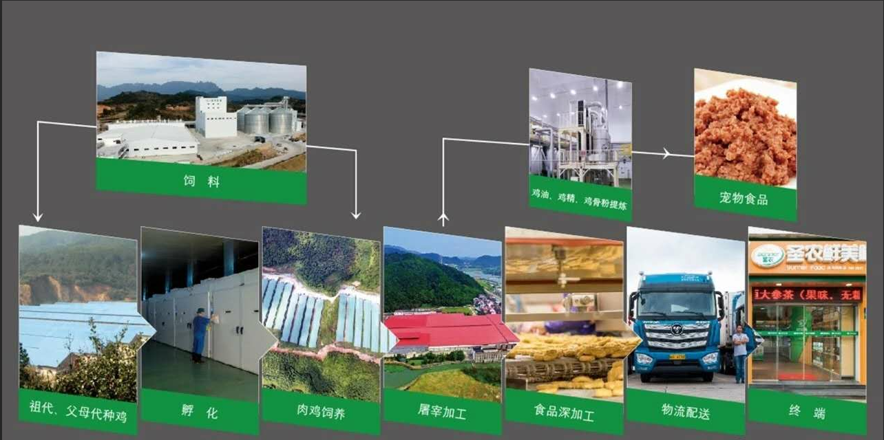 Z6尊龙·凯时(中国)-官方网站