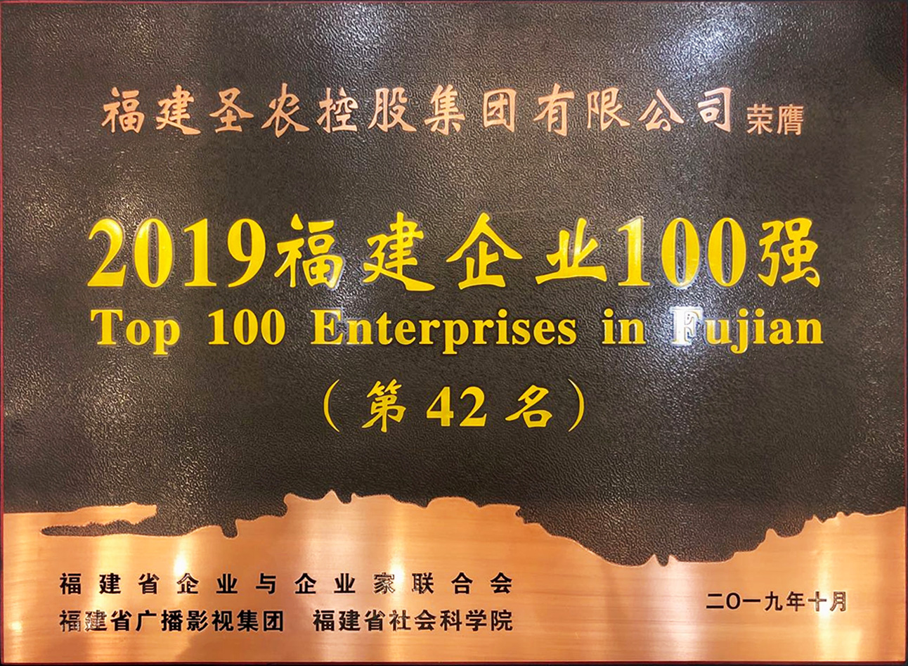 2019（Z6尊龙凯时集团）福建企业100强