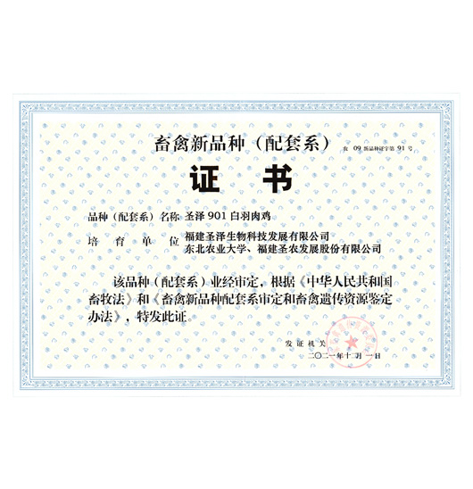 种业攻坚_自主育种_Z6尊龙凯时集团